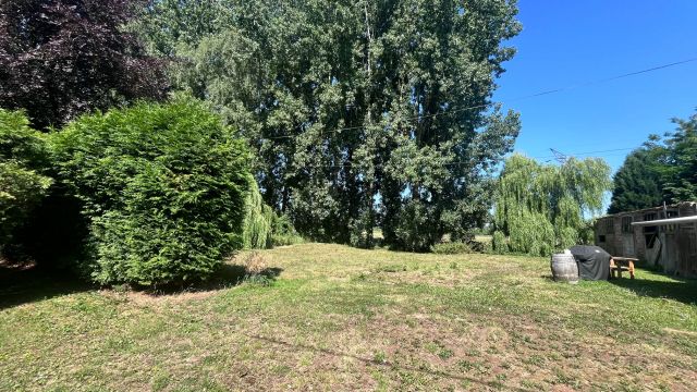 Photo n° 1