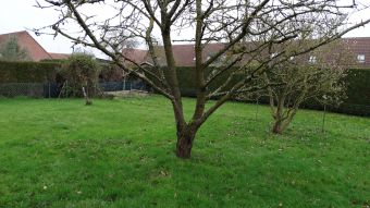 Maison individuelle en 3 chbs gge grand jardin sur Hallennes Lez Haubourdin - 7009