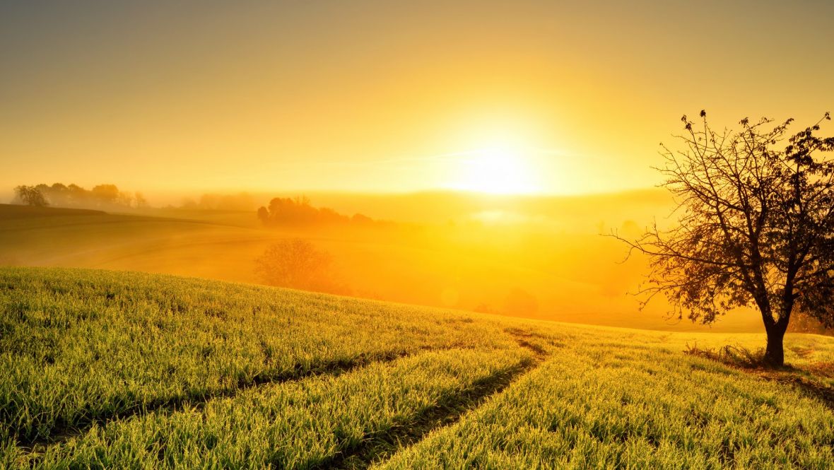 Découvrir les Weppes